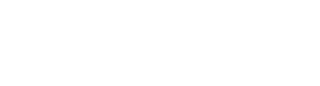 PRIMENEW Logo